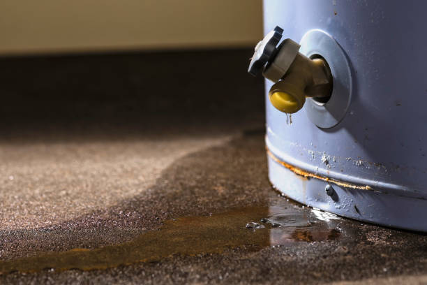 Carpet water damage restoration in Covington, GA