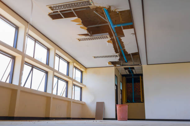 Best Carpet water damage restoration  in Covington, GA