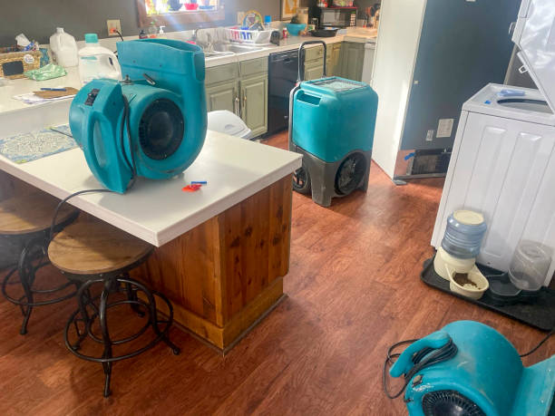 Best Sewage cleanup and water damage restoration  in Covington, GA