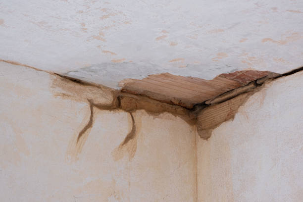 Best Water damage mitigation services  in Covington, GA