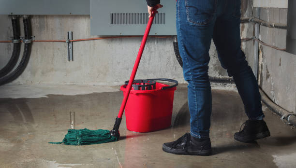 Best Basement water damage restoration  in Covington, GA