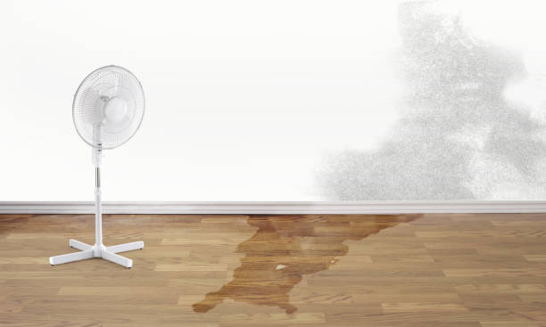 Best Professional water damage repair  in Covington, GA