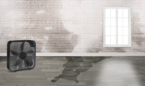 Water damage restoration process in Covington, GA