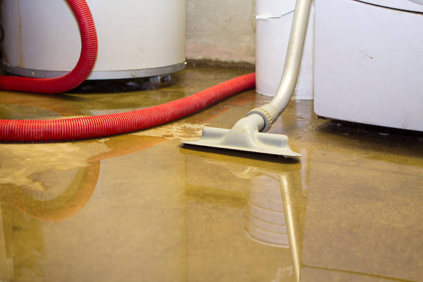 Best Flood restoration services  in Covington, GA