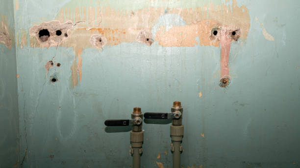 Best Water damage restoration near me  in Covington, GA