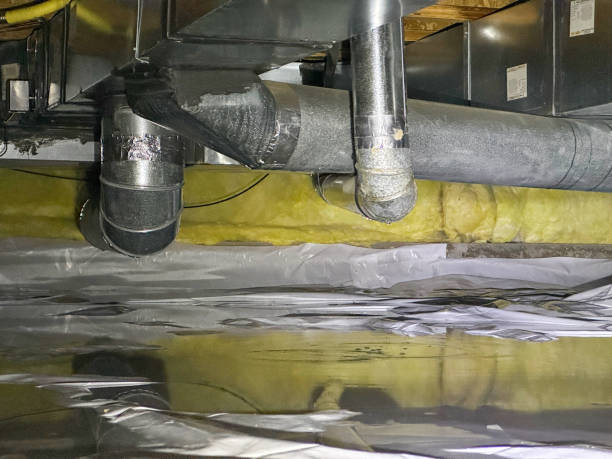 Best Water damage restoration near me  in Covington, GA