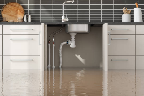 Best Local water damage restoration  in Covington, GA