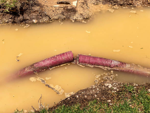 Best Water damage cleanup near me  in Covington, GA
