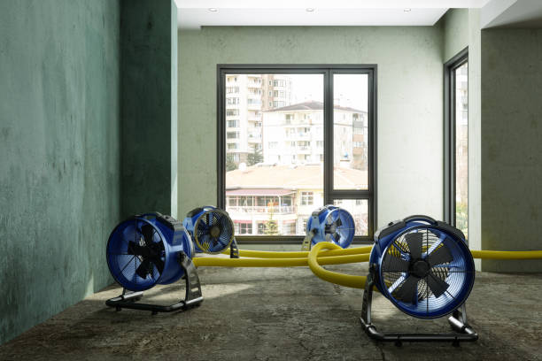 Best 24-hour water damage restoration  in Covington, GA