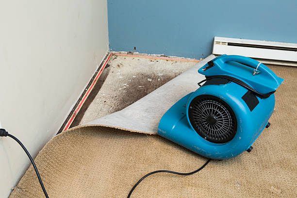 Best Residential water damage restoration  in Covington, GA